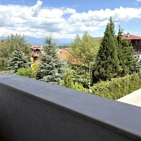 Mountains Homes